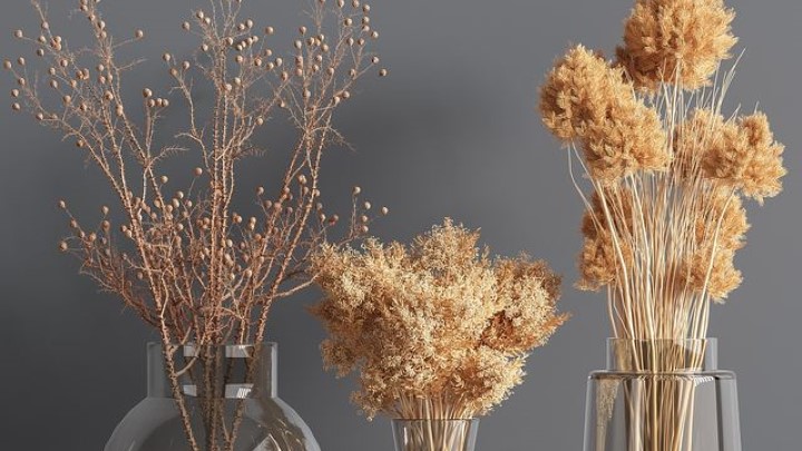 渲染模型_室内插花植物004