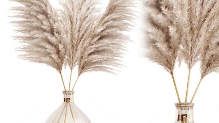 渲染模型_室内插花植物012