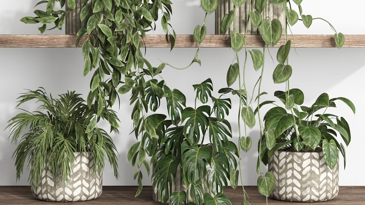 渲染模型_室内插花植物013