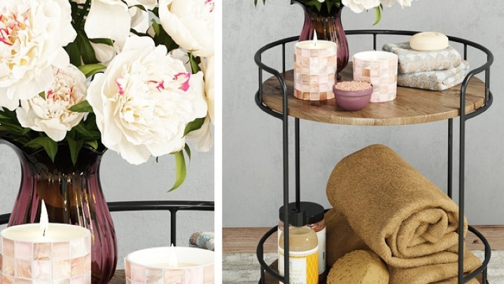 渲染模型_室内植物002