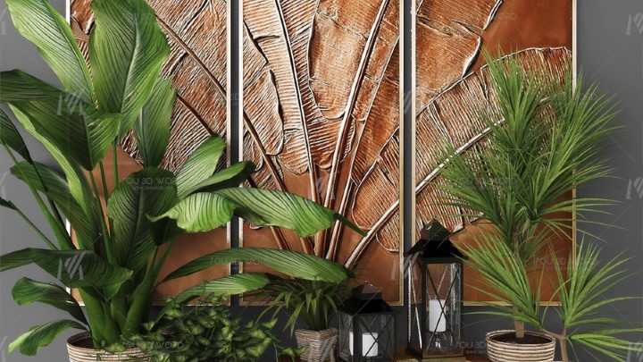 渲染模型_室内植物014