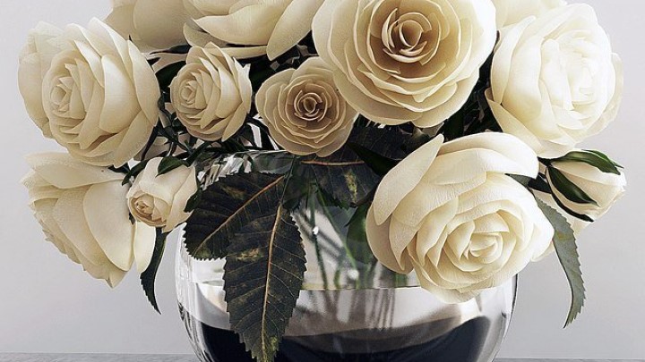 渲染模型_室内植物035