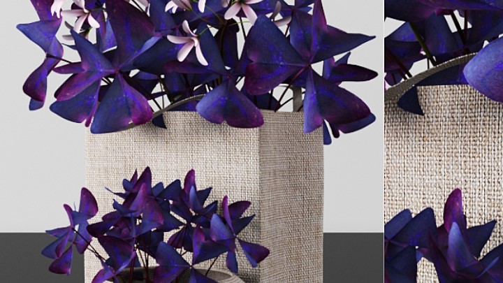 渲染模型_室内植物043