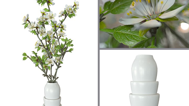 渲染模型_室内植物045