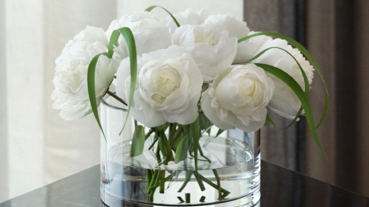 渲染模型_室内植物060