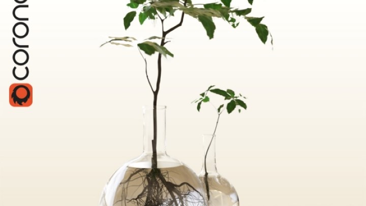 渲染模型_室内植物078