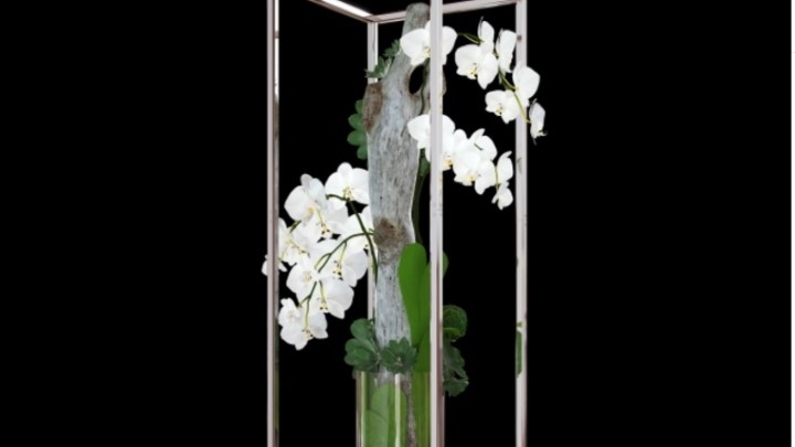 渲染模型_室内植物090