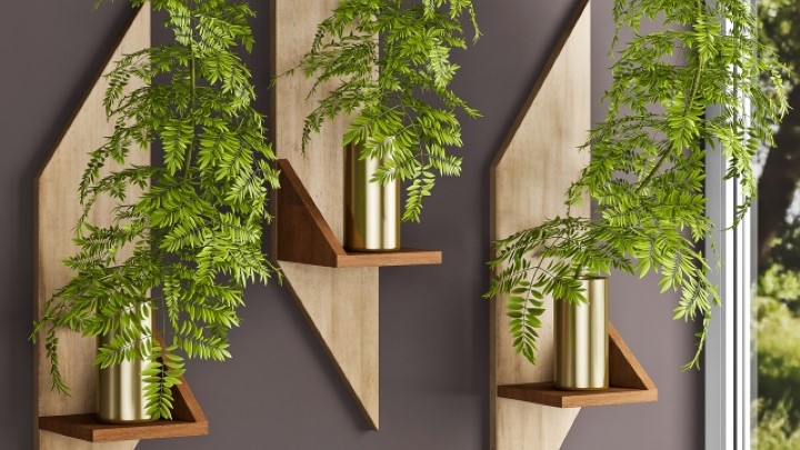 渲染模型_室内植物092