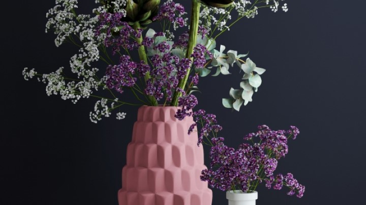 渲染模型_室内植物095