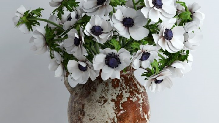 渲染模型_室内植物100