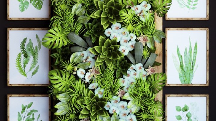 渲染模型_室内植物103