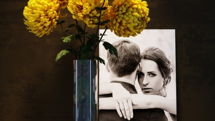 渲染模型_室内植物106