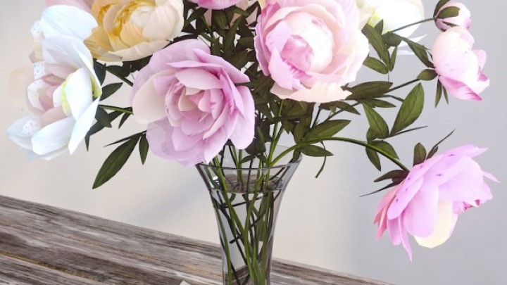 渲染模型_室内植物124