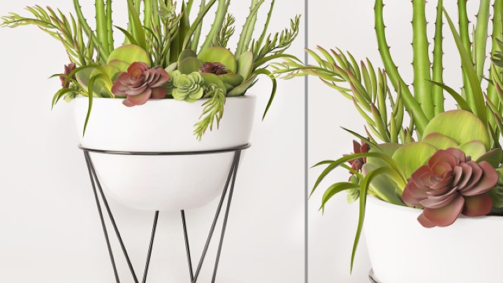 渲染模型_室内植物134