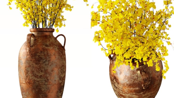 渲染模型_室内植物136