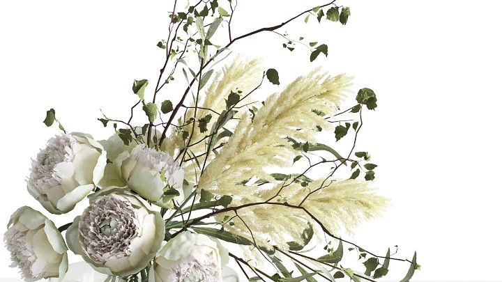 渲染模型_室内植物151