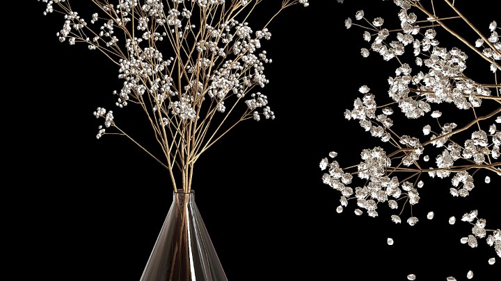 渲染模型_室内植物152