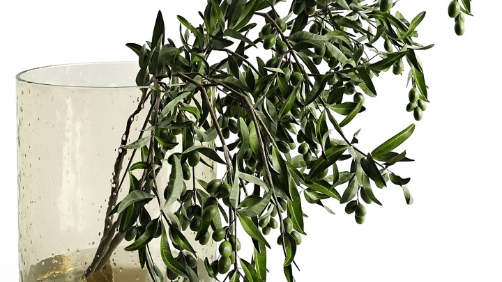 渲染模型_室内植物159