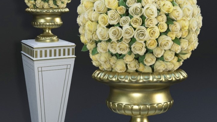 渲染模型_室内盆栽015