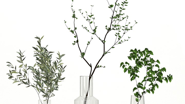 渲染模型_室内装饰插花006