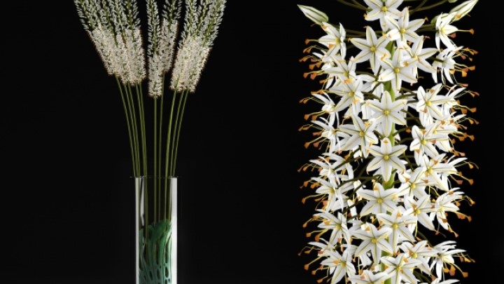 渲染模型_插花007