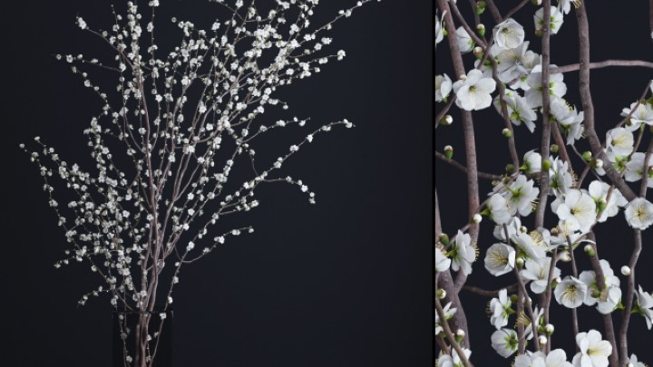 渲染模型_插花008