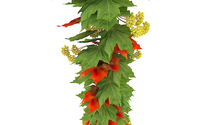 渲染模型_枫叶001