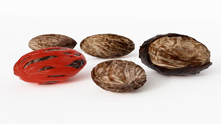 渲染模型_核桃004