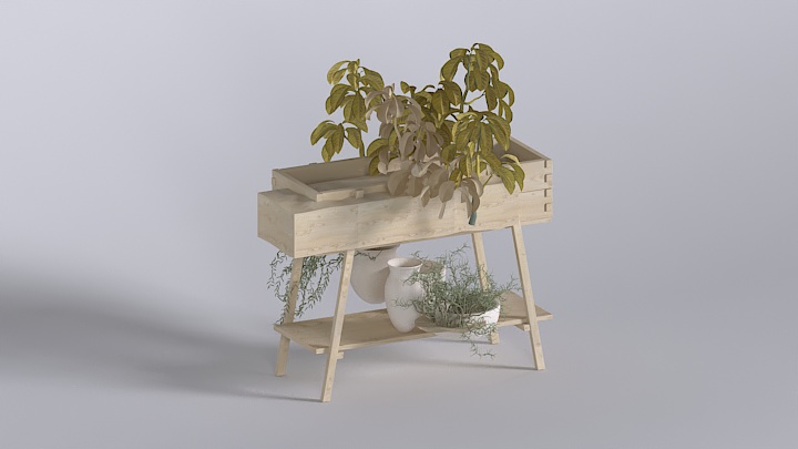 渲染模型_植物076