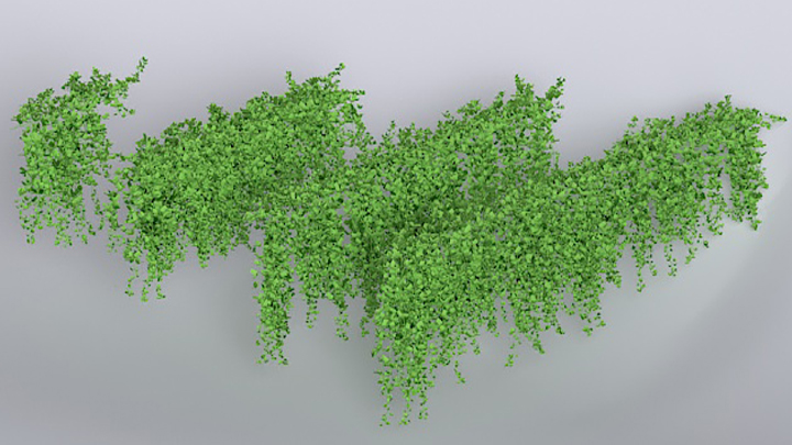 渲染模型_植物079