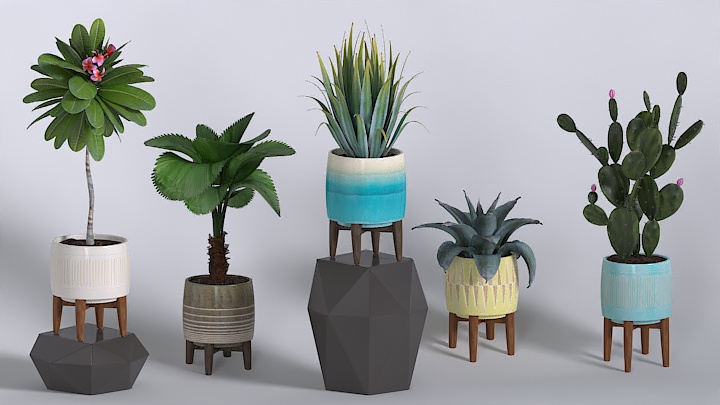 渲染模型_植物087