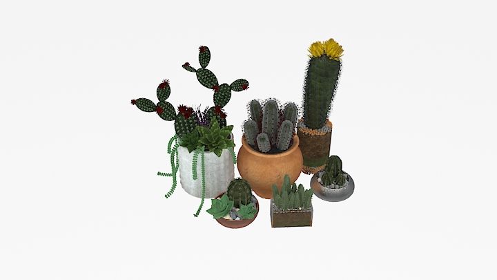 渲染模型_植物097