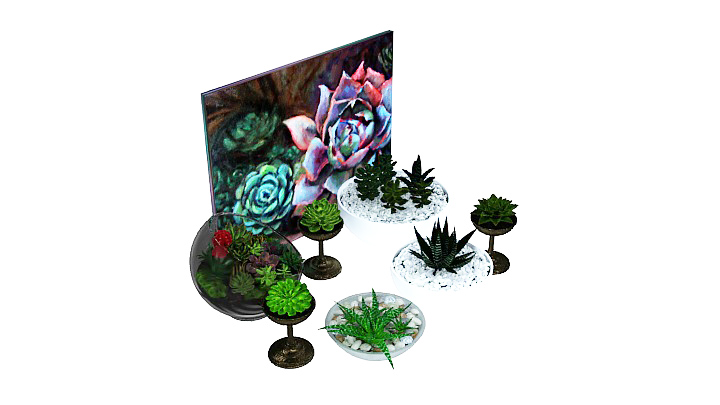 渲染模型_植物099