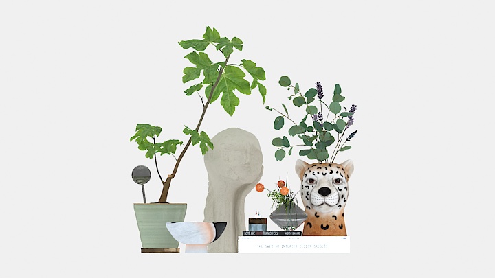 渲染模型_植物107