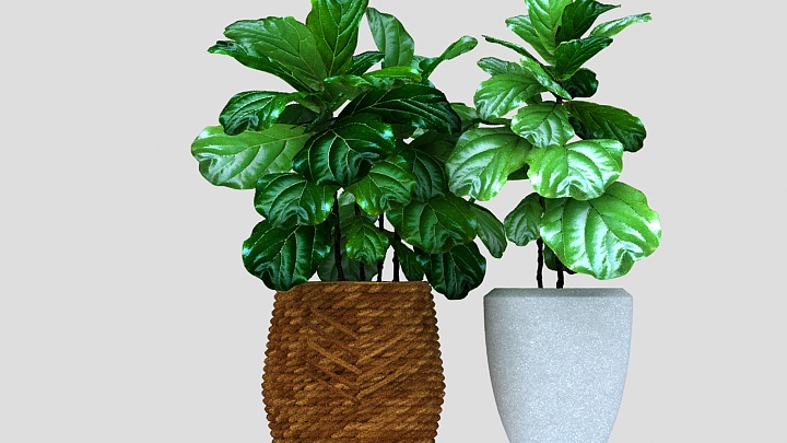 渲染模型_植物120