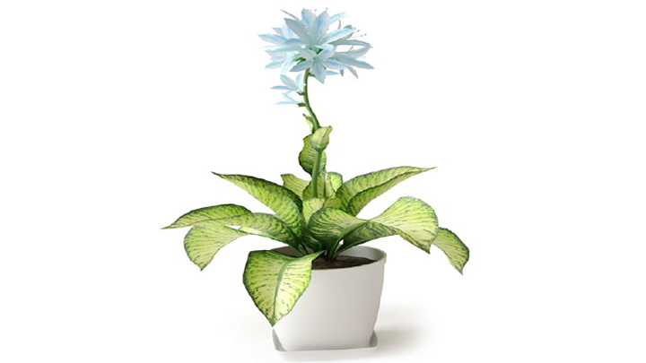 渲染模型_植物135