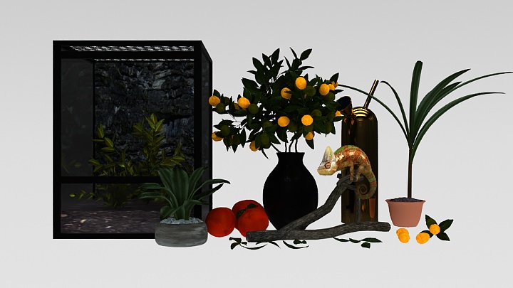 渲染模型_植物201