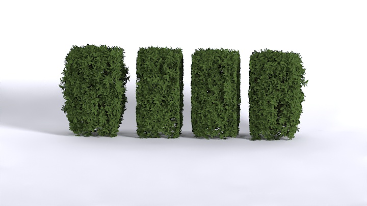 渲染模型_植物209