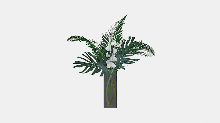 渲染模型_植物223