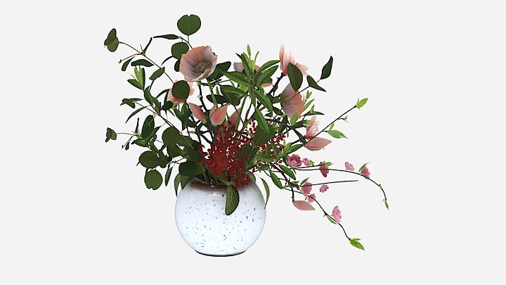 渲染模型_植物225