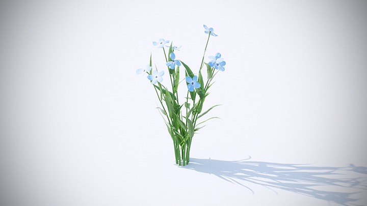 渲染模型_植物249