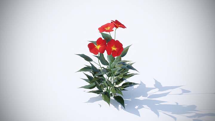 渲染模型_植物251