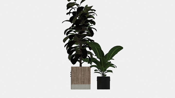 渲染模型_植物264