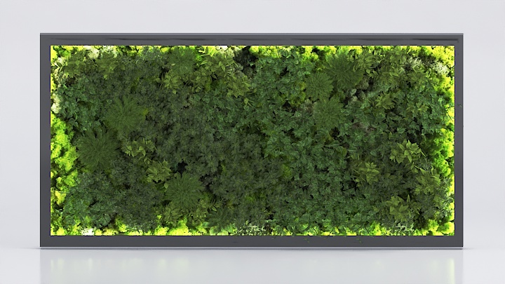 渲染模型_植物277