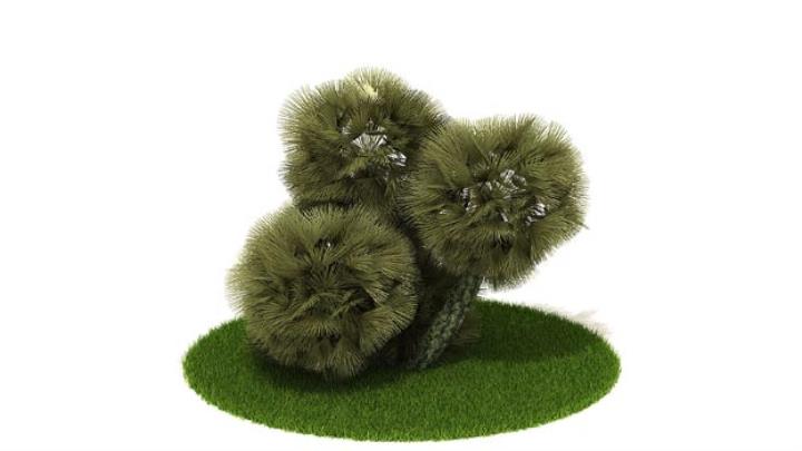渲染模型_植物295