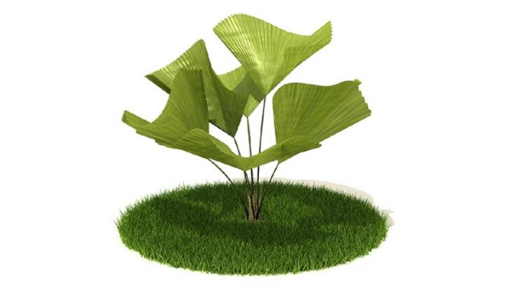 渲染模型_植物314