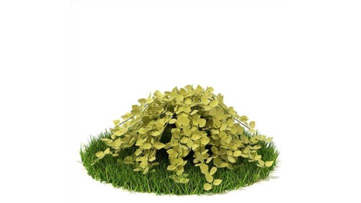 渲染模型_植物345