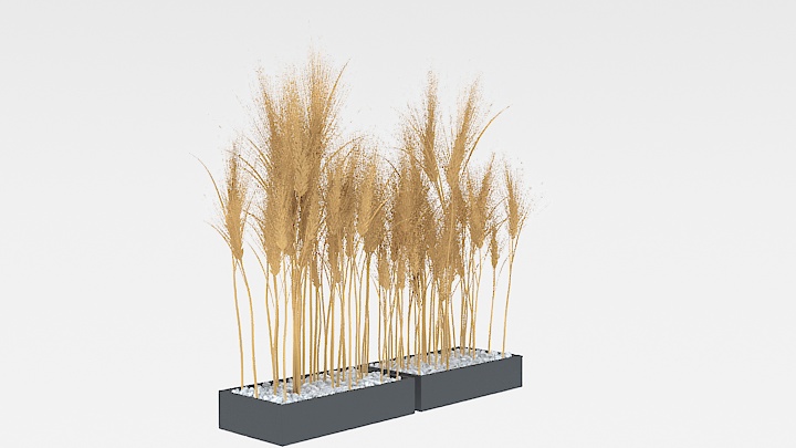 渲染模型_植物354