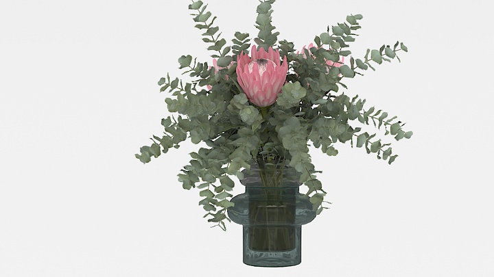 渲染模型_植物355