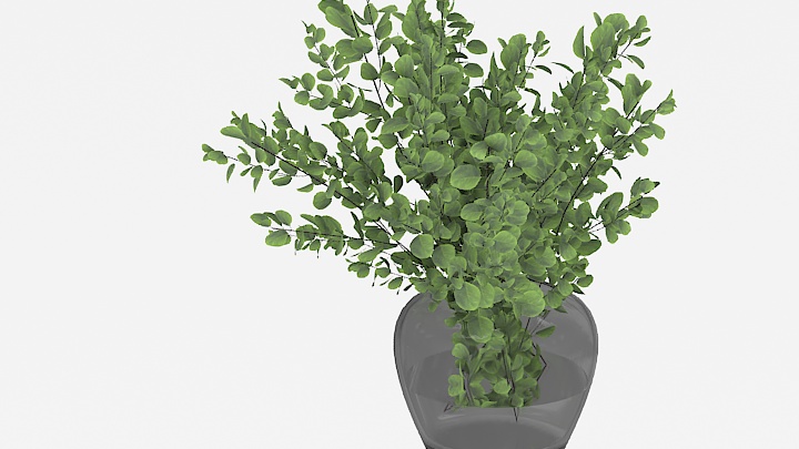 渲染模型_植物358